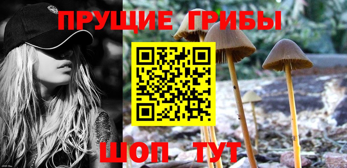 Галлюциногенные грибы мицелий Пыть-Ях